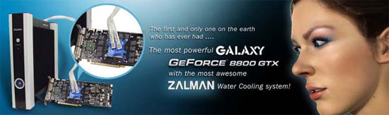 galaxy_zalman_g80.jpg (24618 bytes)