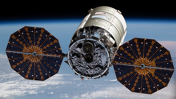 cygnus