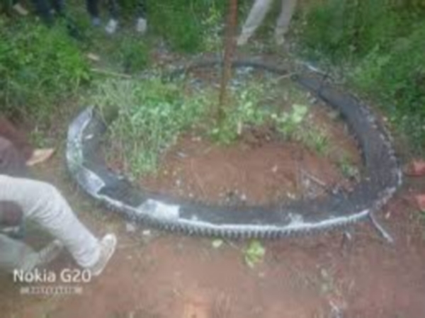 kenya detrito spaziale
