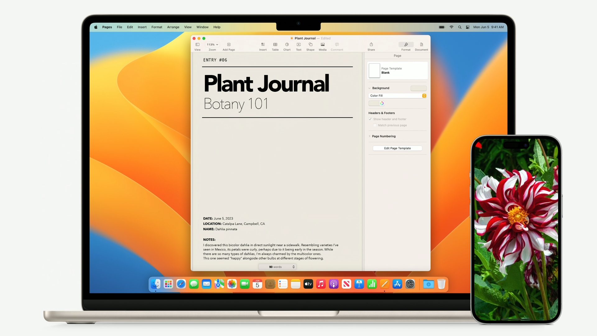 MacBook Air da 15 pollici