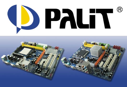 motherboard_palit.jpg
