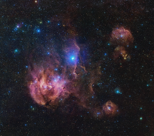 nebulosa running chicken