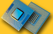 p4p_m_logo.jpg