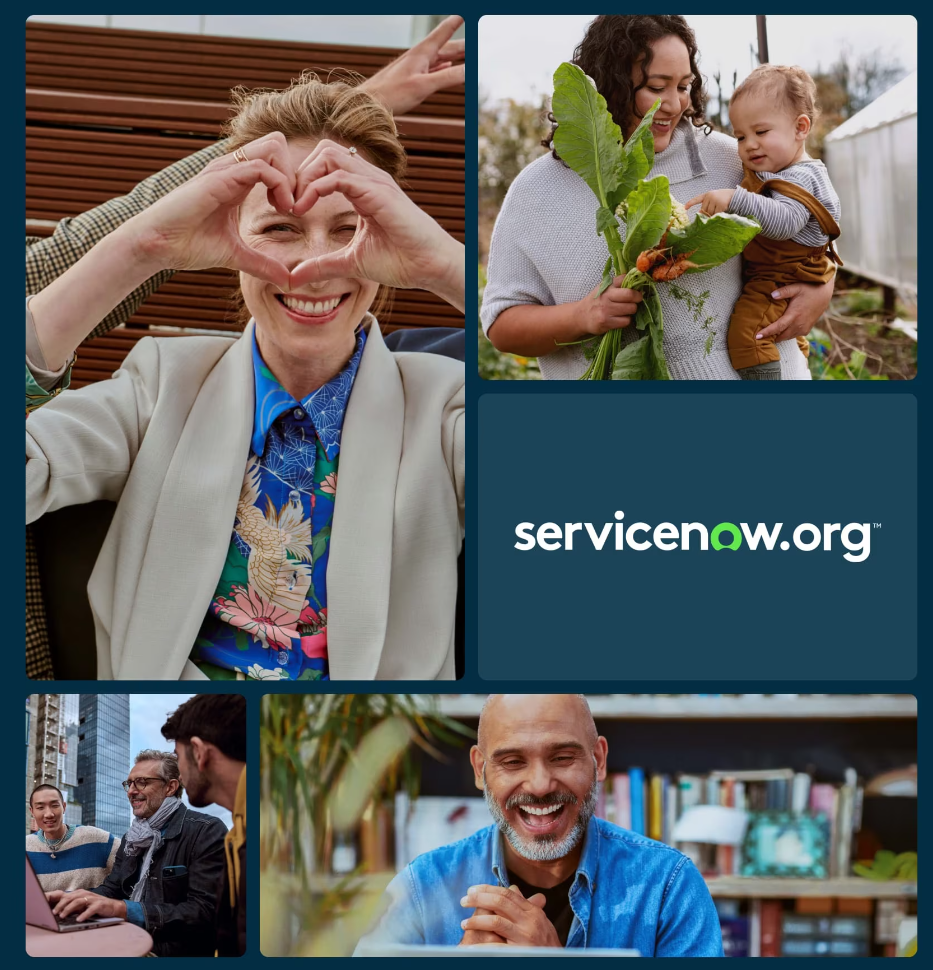 servicenow org