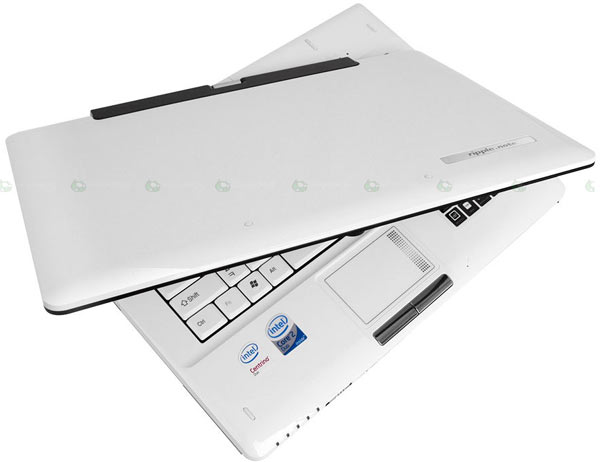 T8100