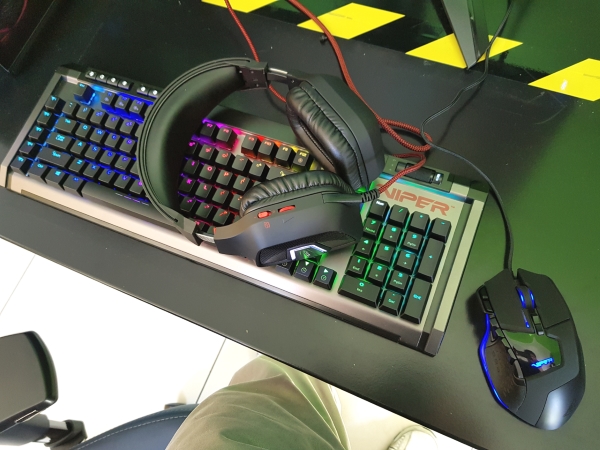 Viper Gaming